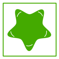 Eco Green Star Icon