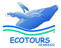 Ecotours De Mexico