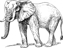 Elephant clip art