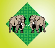 Elephants Thumbnail