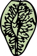 Elm Seed clip art