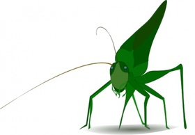 Emeza Grasshopper clip art Thumbnail