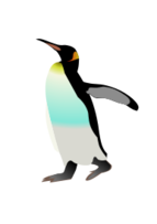 Emperor Penguin