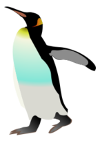 Emperor Penguin