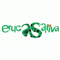 Eruca Sativa