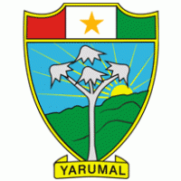 Escudo de Yarumal