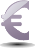 Euro Vector Icon