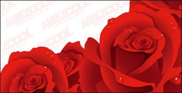 Exquisite red roses vector material Thumbnail