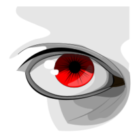 Eye