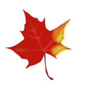 Fall leaf