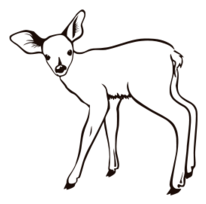 Fawn Outline Thumbnail