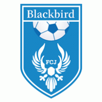 FC Blackbird Jyvaskyla