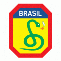 FEB Força Expedicionária Brasileira Thumbnail