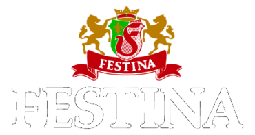 Festina Watches