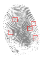 Fingerprint