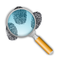 Fingerprint Search with Slight Magnification Thumbnail