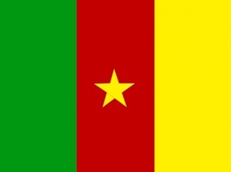 Flag Sign Africa Signs Symbols Flags United Cameroon Nations Member