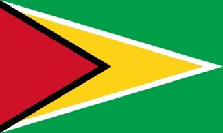 Flag South Republic British America Guyana