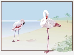 Flamingo Vector Thumbnail