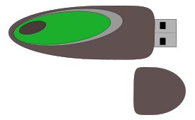 Flash Disk