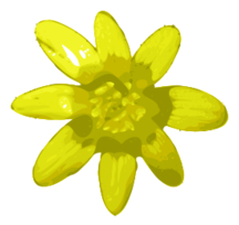 Flower 02