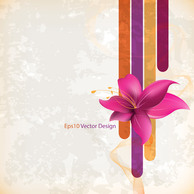 Flower Gentle Vector Backgrounds Thumbnail