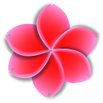 Flower Vector Image