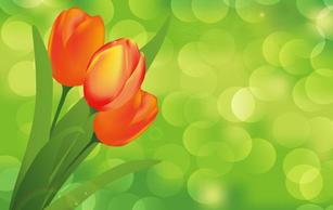 Flower with Green Background Vector Art Thumbnail