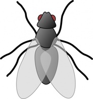 Fly Bug Insect clip art