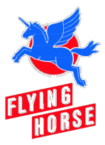 Flying Horse