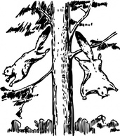 Flying Squirrels clip art Thumbnail