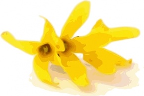 Forsythia clip art