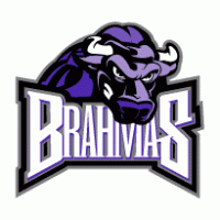 Fort Worth Brahmas