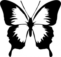 Francesco Archit Outline Silhouette Bugs Butterfly Farfalla Contorno Farfalle Insect Coloring Butterflies Thumbnail