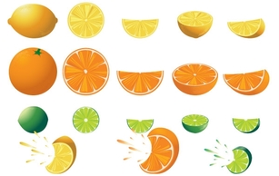 Free Citrus Vectors Thumbnail