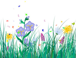 Free Grass flowers with dragonfly and butterfly Thumbnail