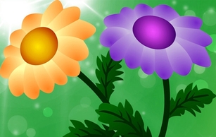 Free Vector Chrysanthemum Thumbnail