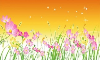 Free Vector Flowers 07