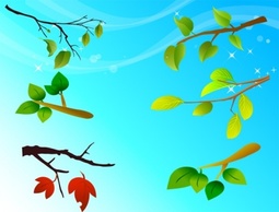 Free Vector Foliage