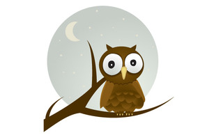 Free Vector Owl