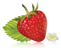 Free Vector strawberry realistic fruit Thumbnail