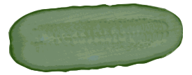 Fresh Cucumber Slice