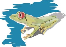 Frog 1