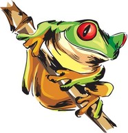 Frog 2