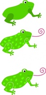 Frog Granota Grenouille clip art Thumbnail