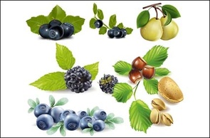 Fruits, blueberries, pears, pistachios, chestnuts vector Thumbnail