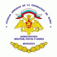 Fuerzas Armadas De La Federacion De Rusia