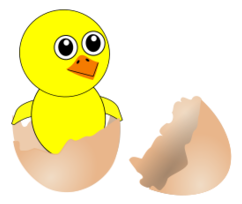 Funny Chick Cartoon Newborn Coming Out from the Egg Thumbnail