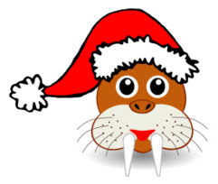 Funny walrus face with Santa Claus hat Thumbnail