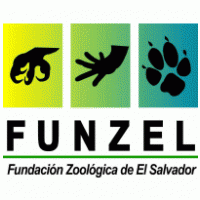 Funzel